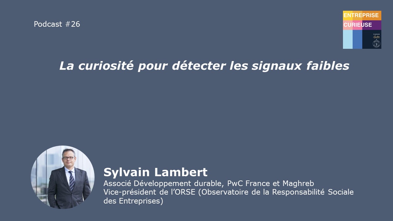 Sylvain Lambert - Entreprise curieuse #26