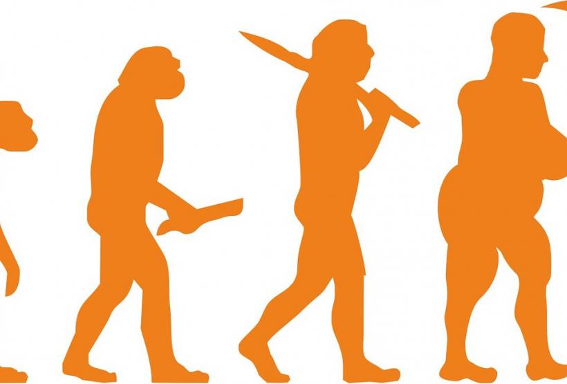 evolution-g94607cf9e_1920