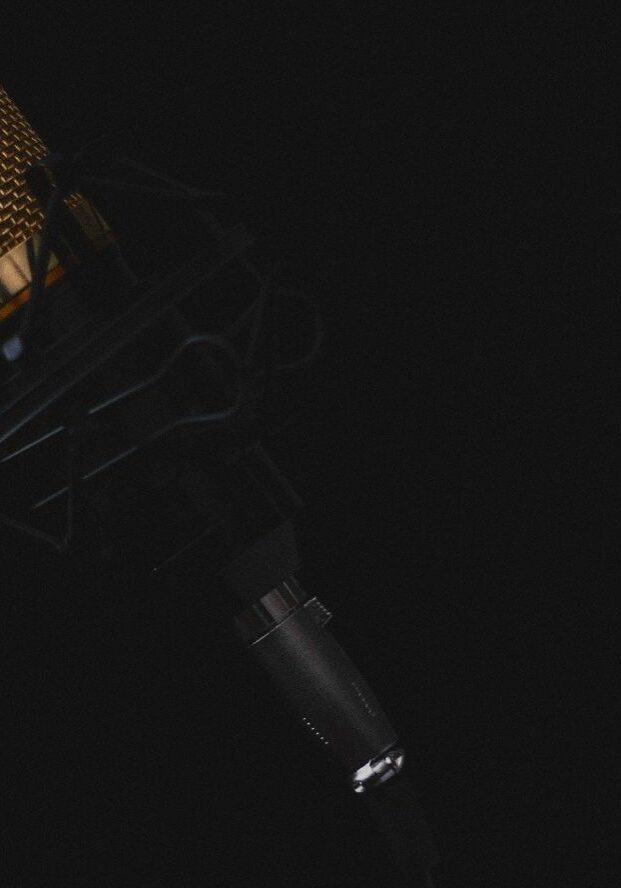 microphone-2130806_1920_0 (1)